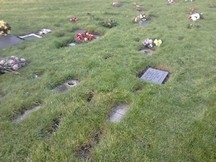 A Garden of Remembrance